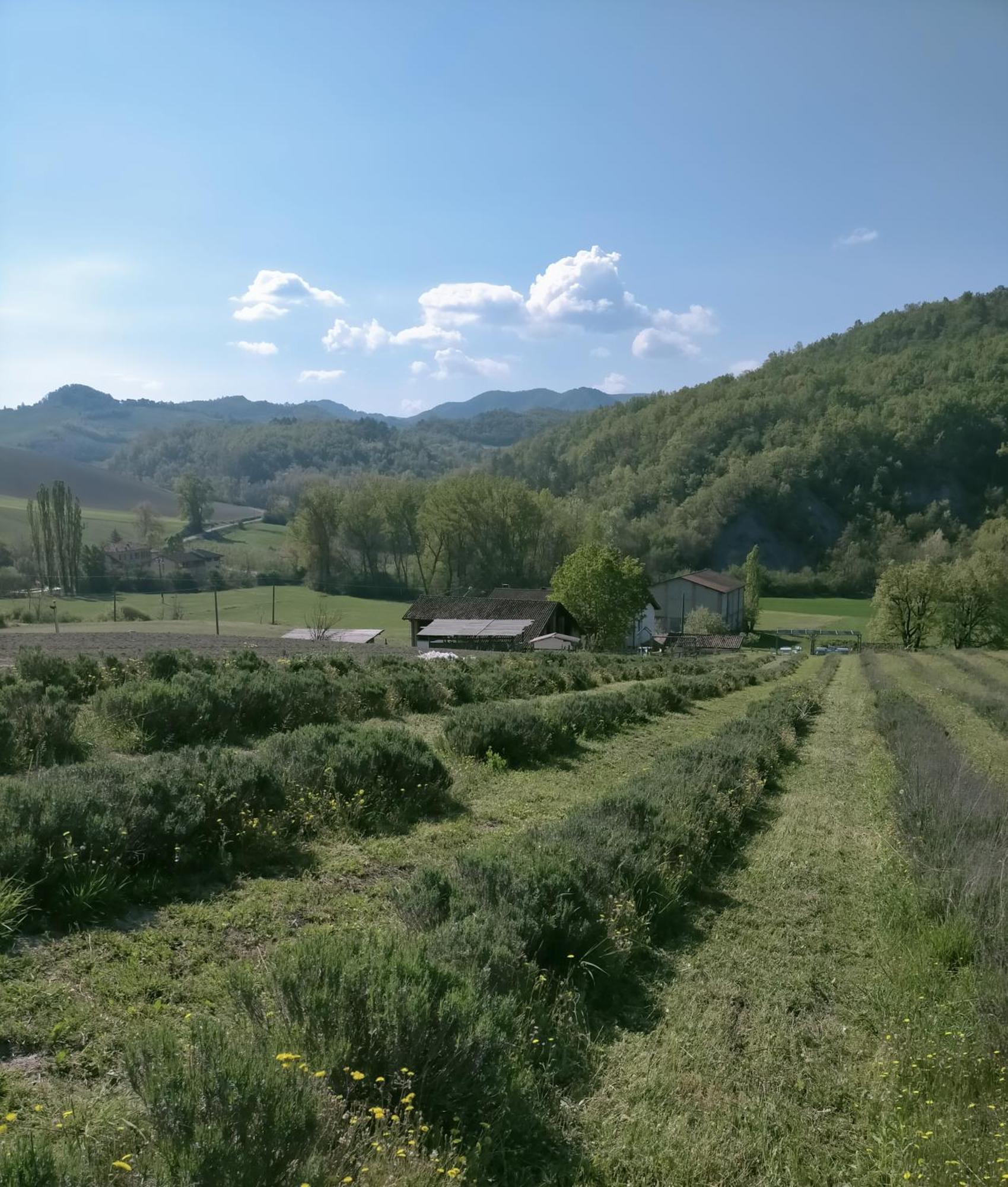 La Locanda Del Molino Fortunago Экстерьер фото