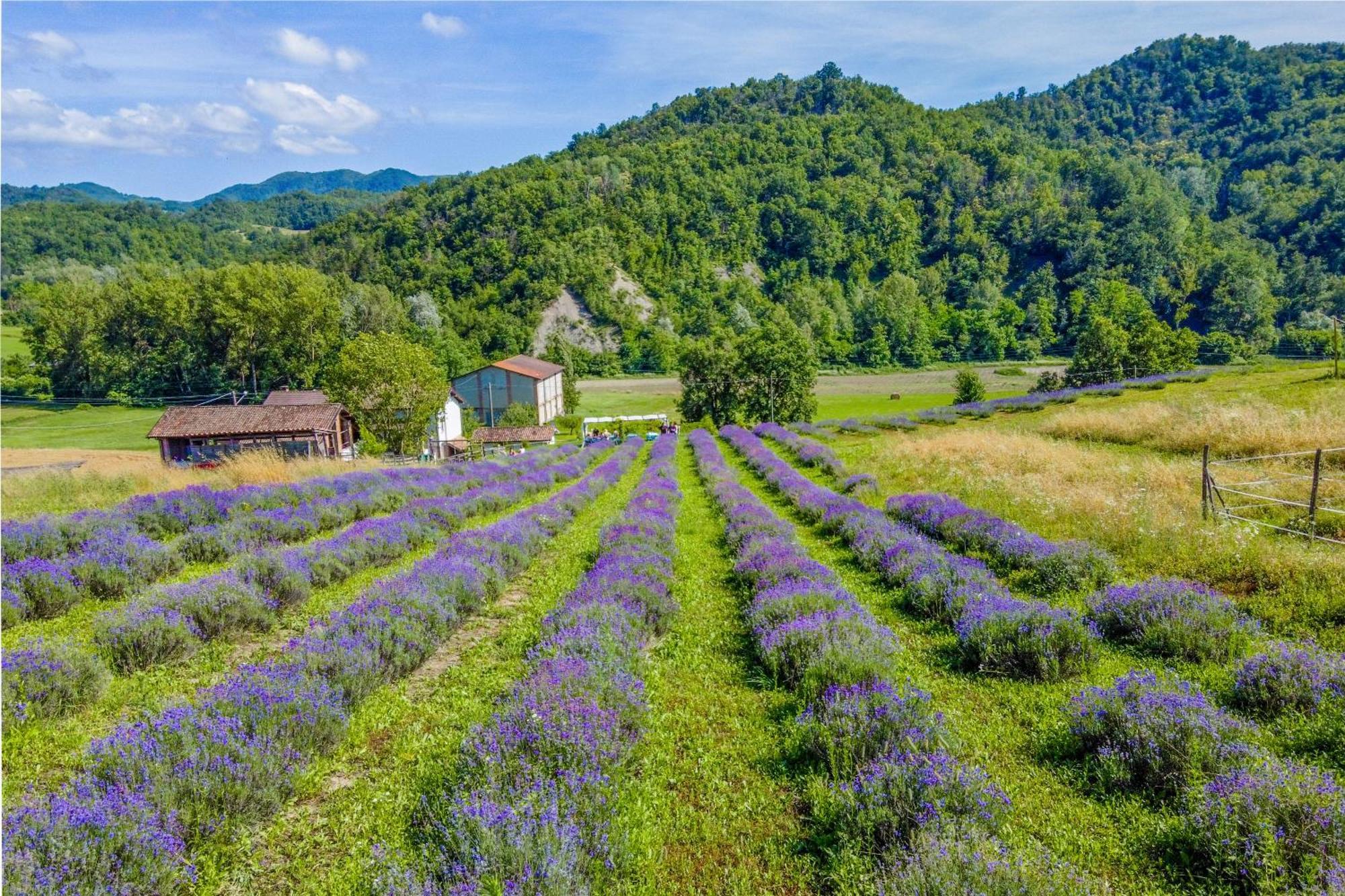 La Locanda Del Molino Fortunago Экстерьер фото